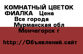 КОМНАТНЫЙ ЦВЕТОК -ФИАЛКА › Цена ­ 1 500 - Все города  »    . Мурманская обл.,Мончегорск г.